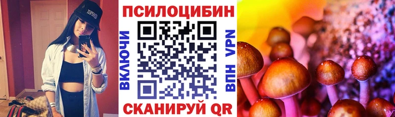 Галлюциногенные грибы Psilocybine cubensis  Купить  Касимов 